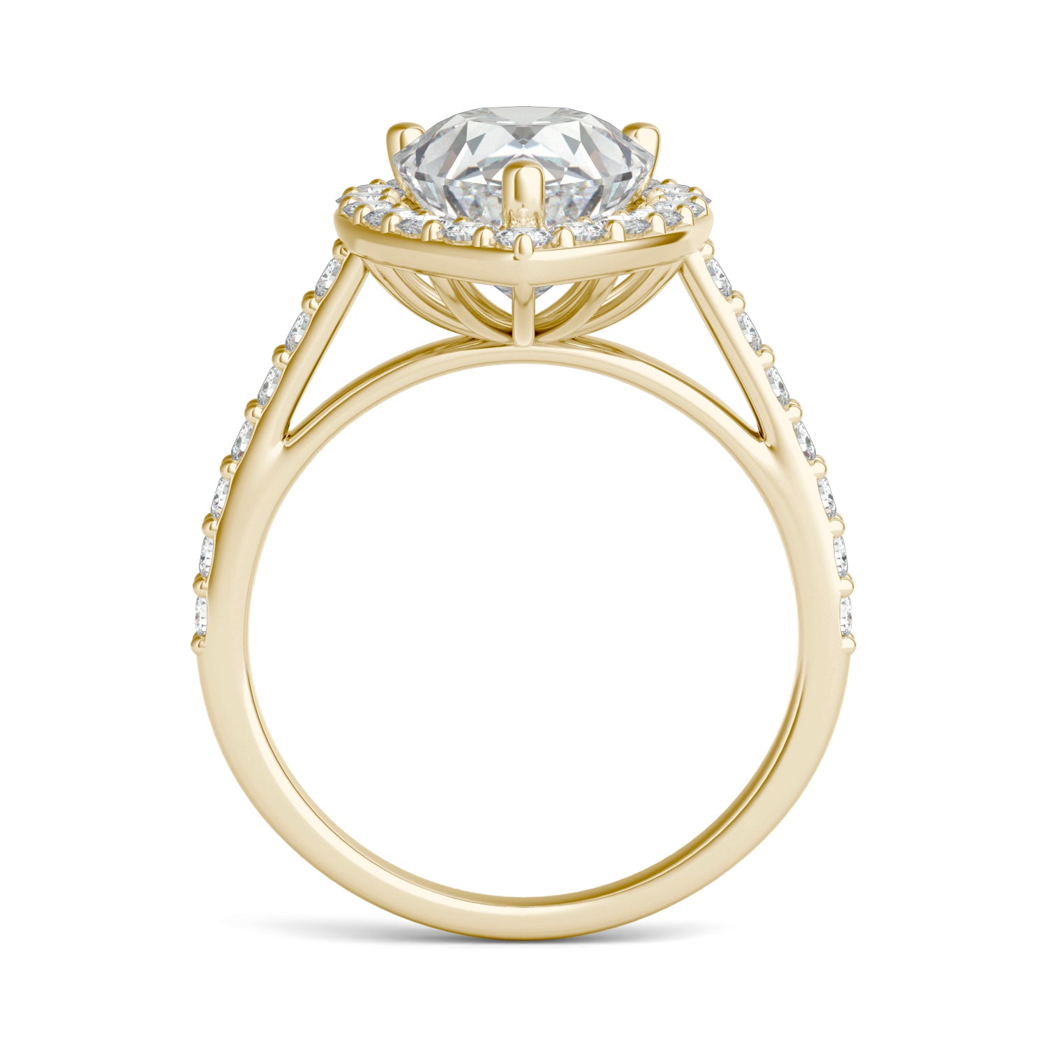 4.23 CTW DEW Pear Forever One™ Moissanite Halo Ring